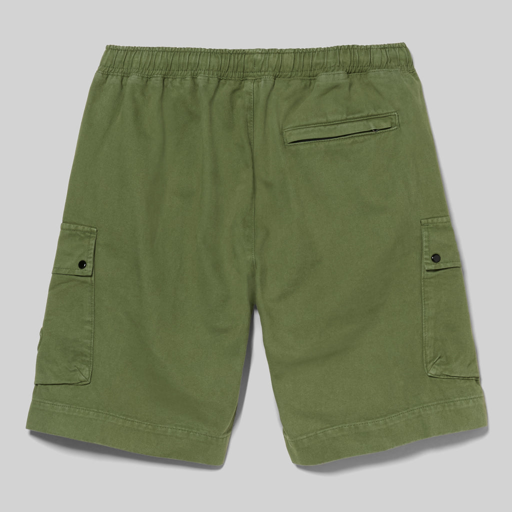Bronze Green